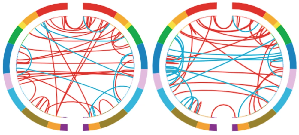 Artigo de Roland Griffiths em Science Reports sobre psilocibina e neuroplasticidade